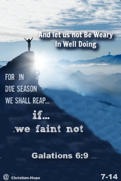 Never Give Up