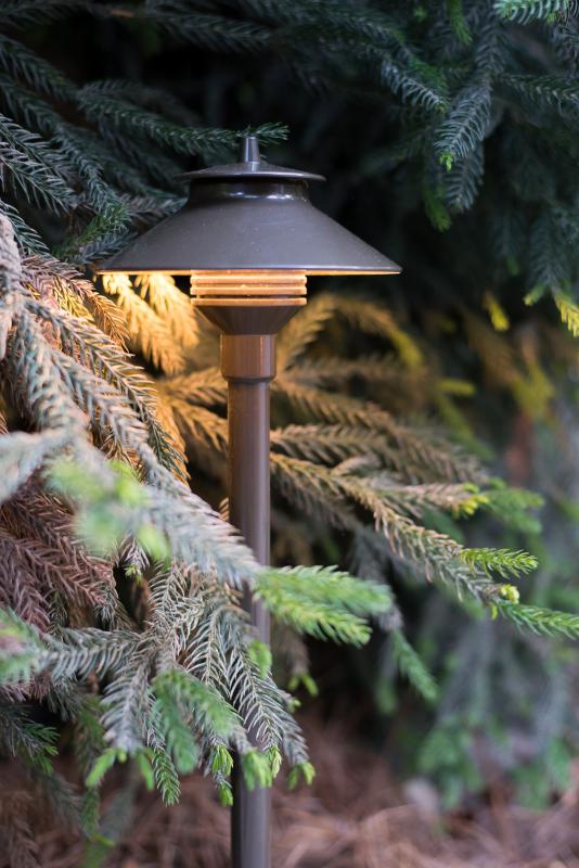 Low voltage bronze path light illuminating green evergreen shrubs in a backyard landscape.