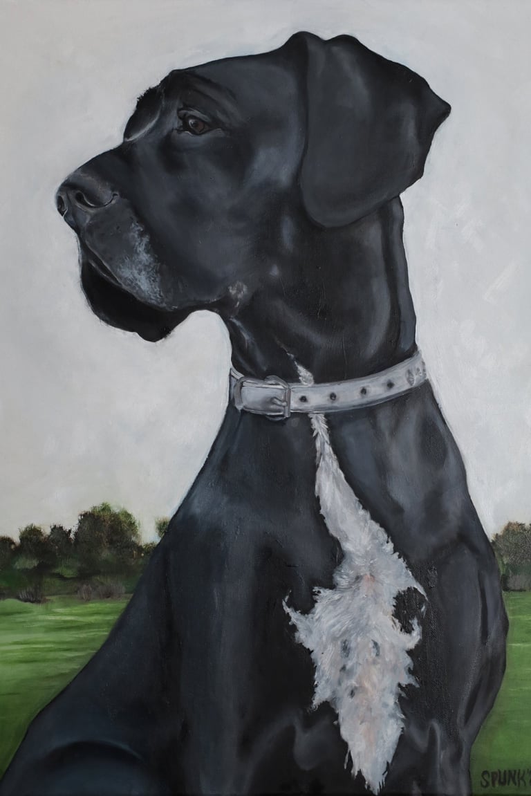 Oil painting of a black Great Dane with a white chest patch sitting in a green field.