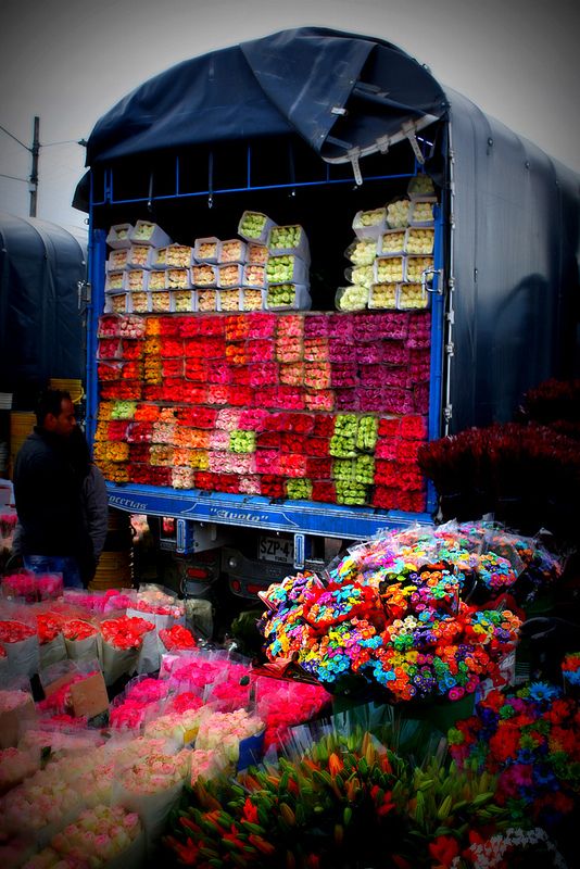 margaritas al por mayor pereria