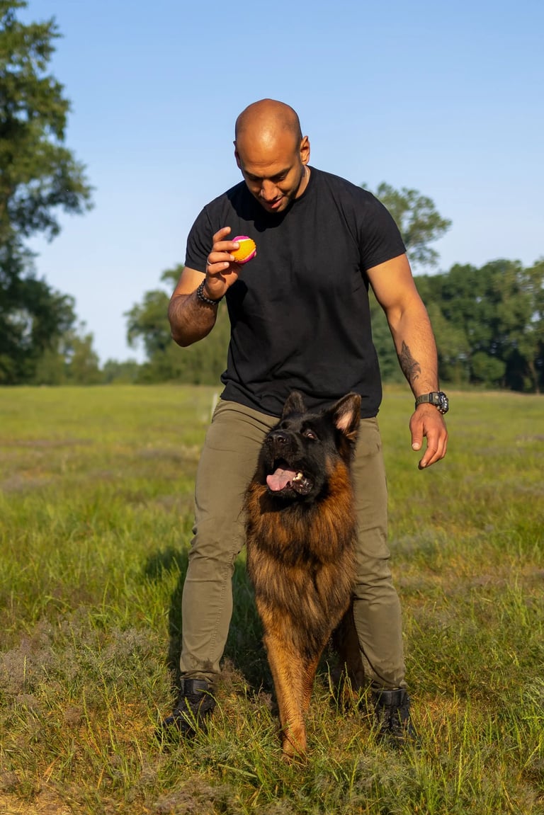 DiabK9 trainiert mit seinem Schäferhund im Park