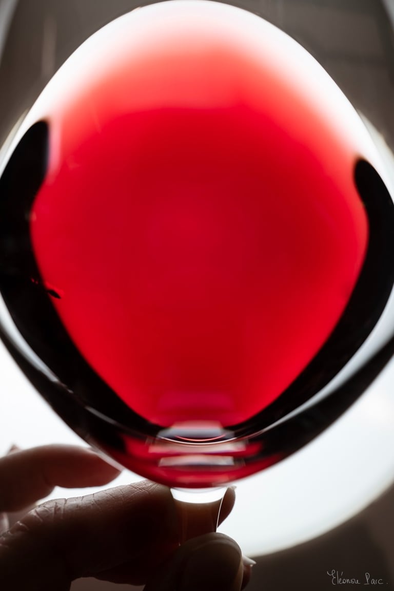 Gros plan d’un verre de vin rouge avec une main qui tient le verre