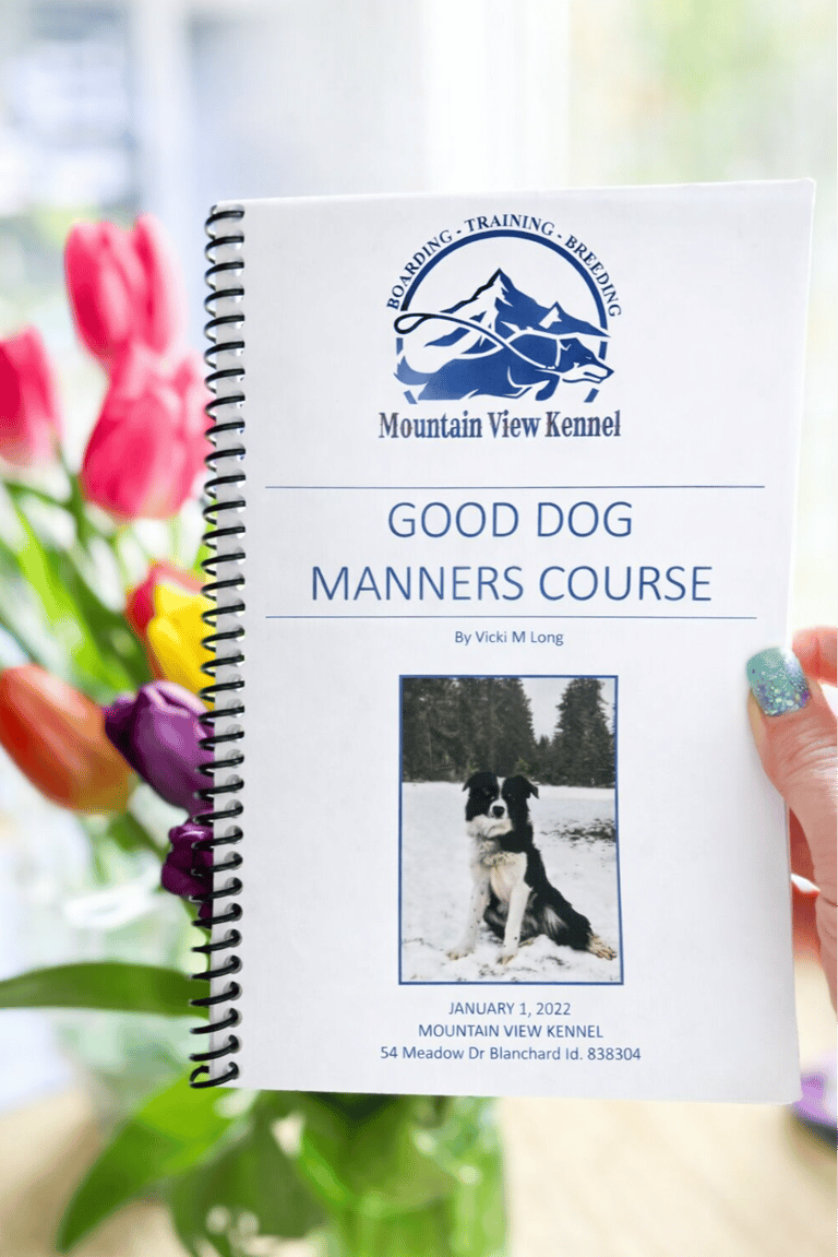 Good dog manners course, beginner and intermediate.