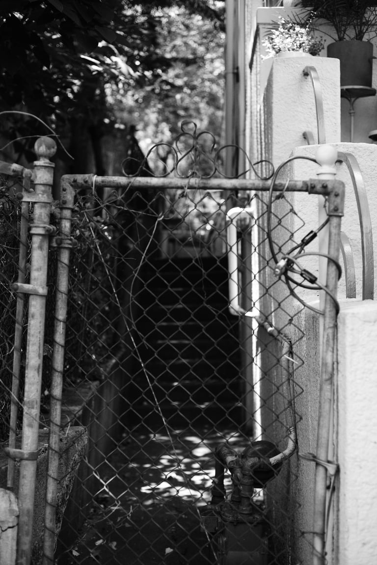 Black and white photo of a weathered chain link gate and narrow urban garden walkway.