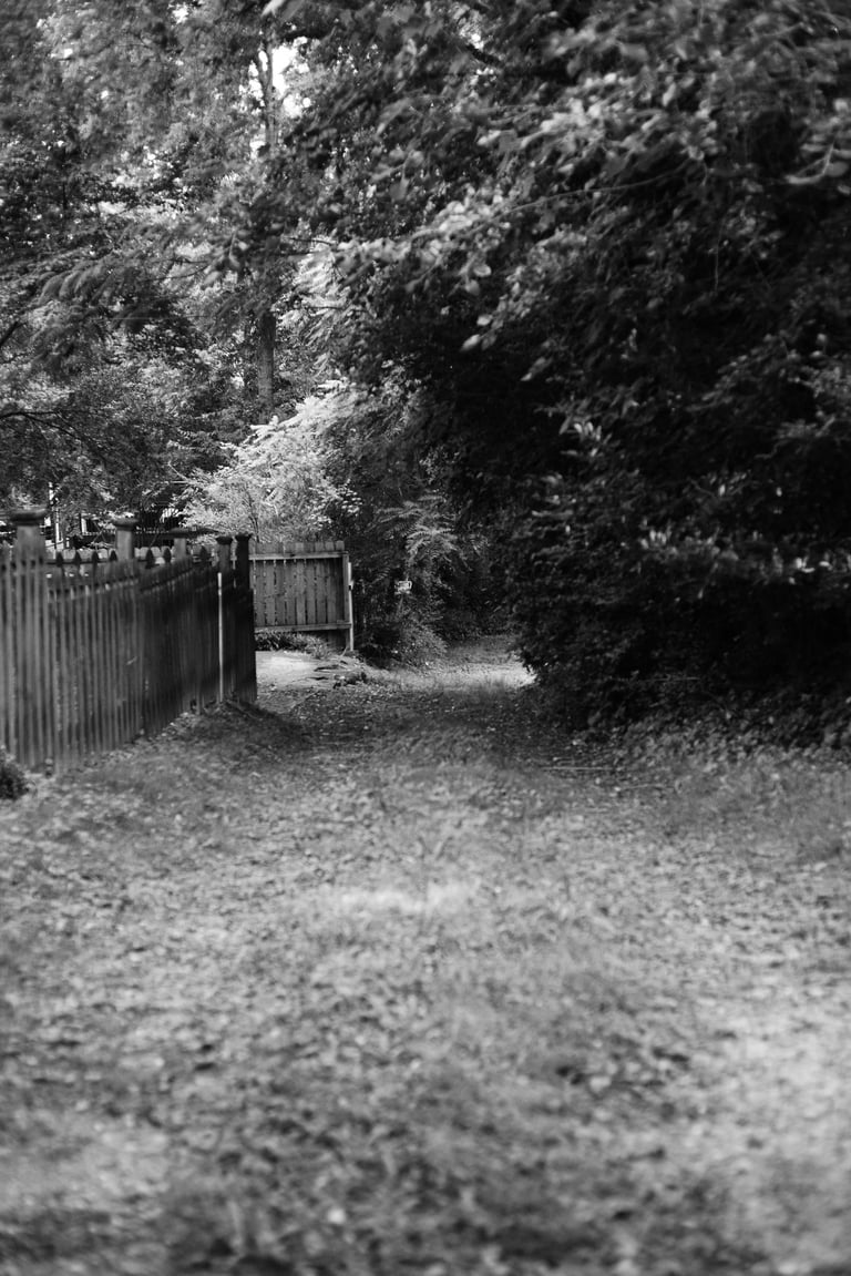 Black and white photo of a shaded garden path lined with a wooden picket fence and lush trees.