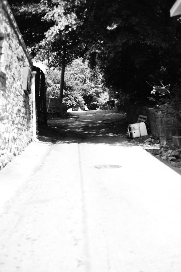 Black and white photo of a narrow stone alleyway with sun-drenched pavement and shaded trees.