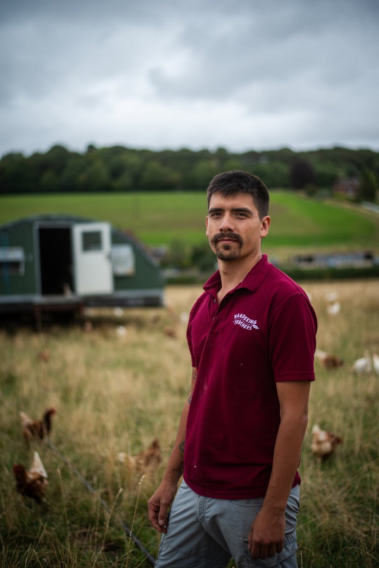 organic chicken farmer Uk Hampshire