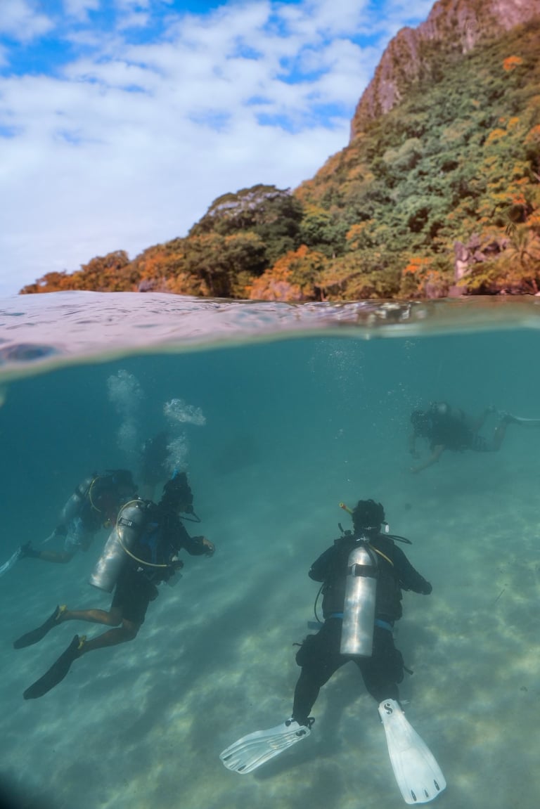instructor development el nido philippines
