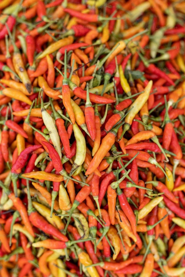 Chili peppers, detected via trigeminal sensations