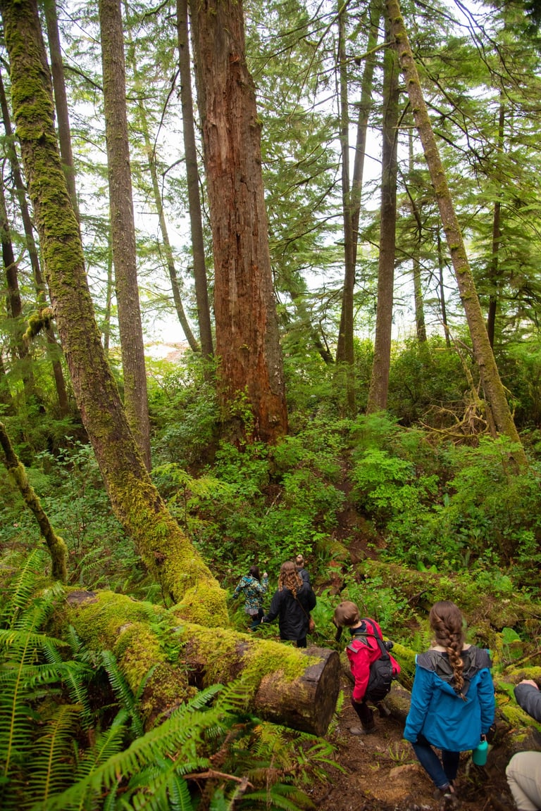 Indigenous land-based field school gathering
