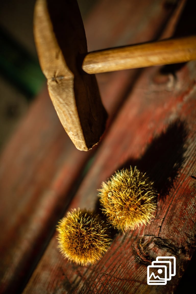 a wood hammer and chestnuts