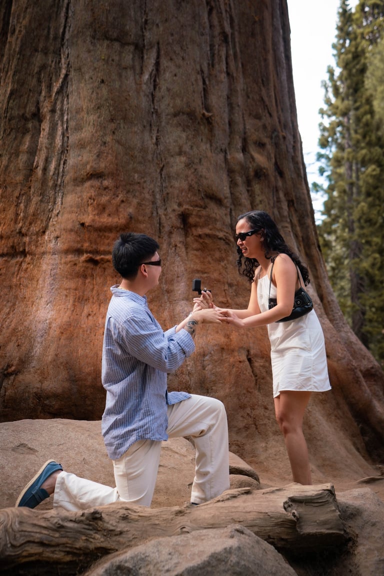 Engagement photographer in Sequoia National Park capturing a surprise proposal by a giant tree