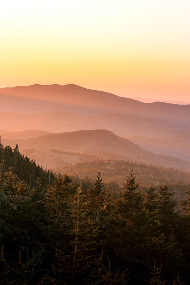 Golden sunset over misty mountain peaks and evergreen forests in the Blue Ridge Mountains.