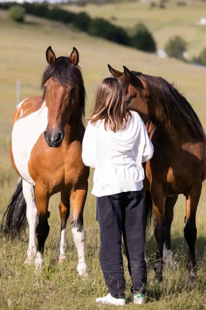 Jeune fille rencontre des chevaux