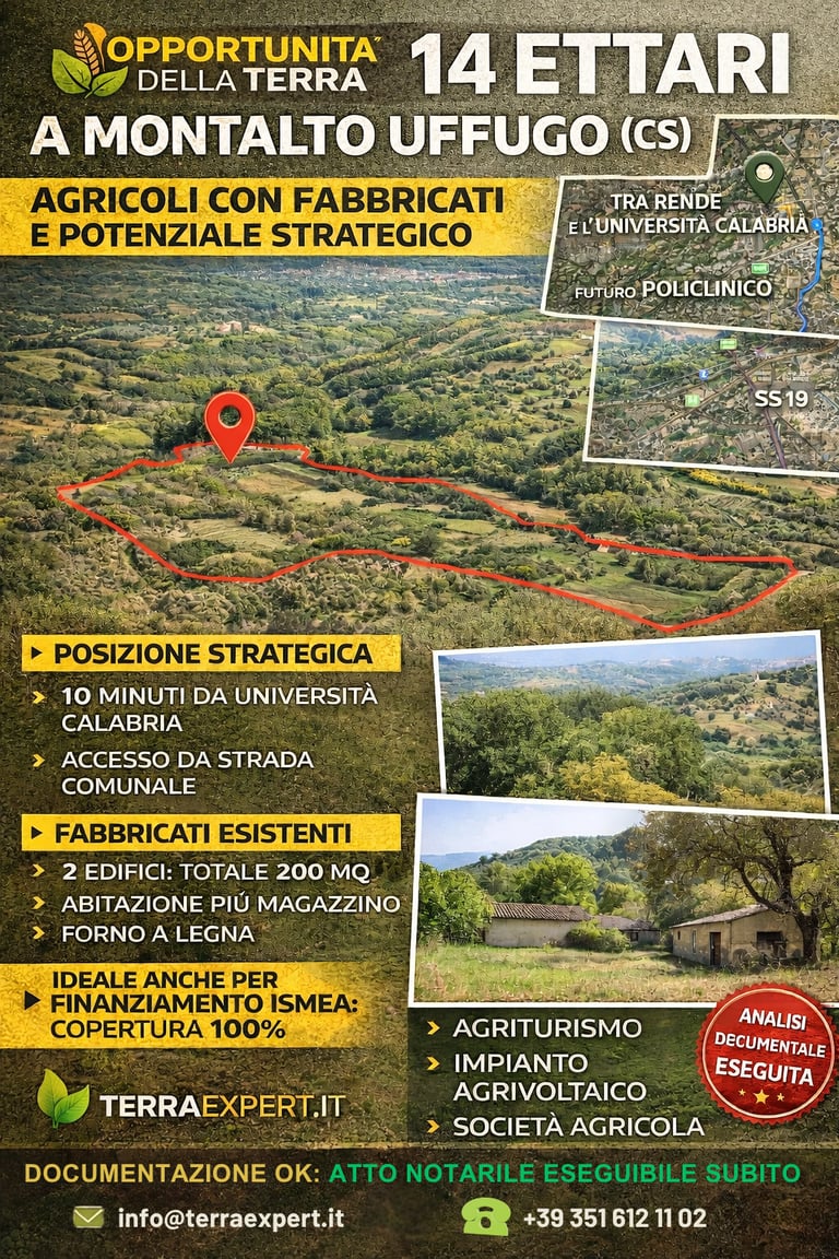 CALABRIA – COSENZA | MONTALTO UFFUGO SCALO - TERRENO IN VENDITA