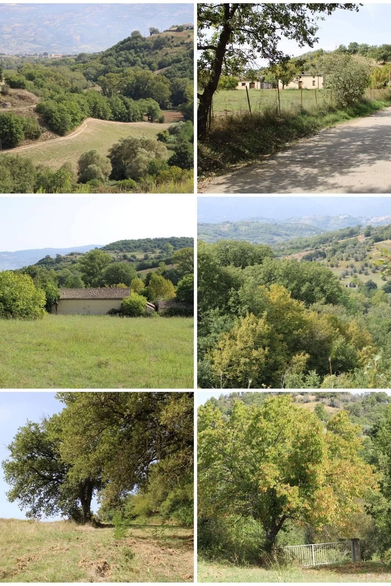 CALABRIA – COSENZA | MONTALTO UFFUGO SCALO - TERRENO IN VENDITA
