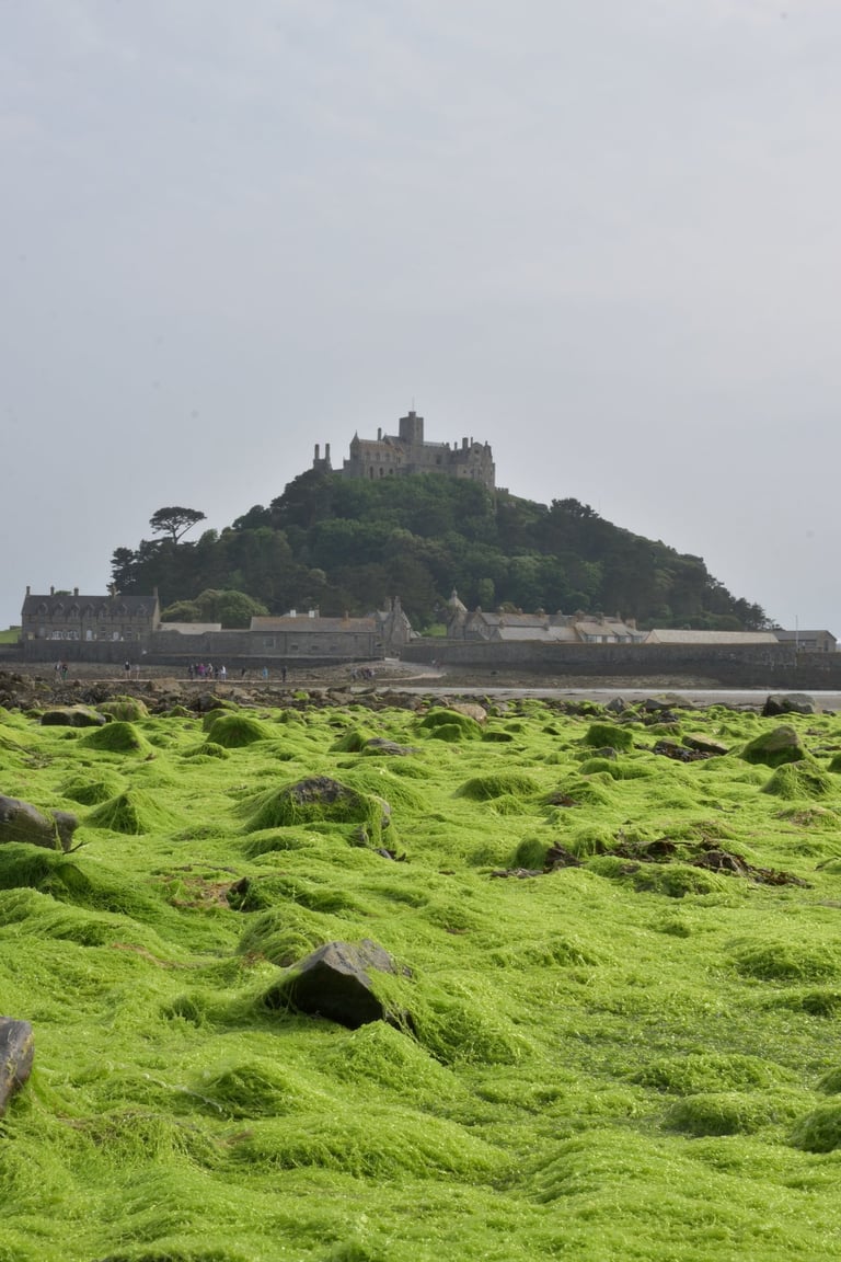 "The Mount" - St. Michael's Mount. Mount Bay, England