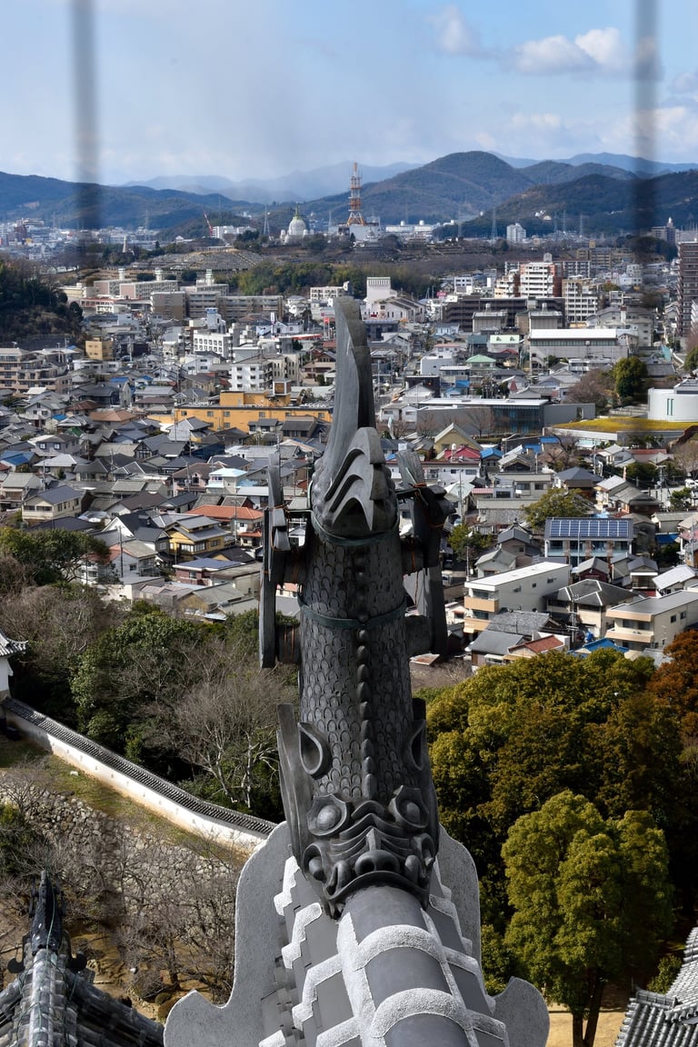 "Cast a Line" - View from Himeji Castle, Japan