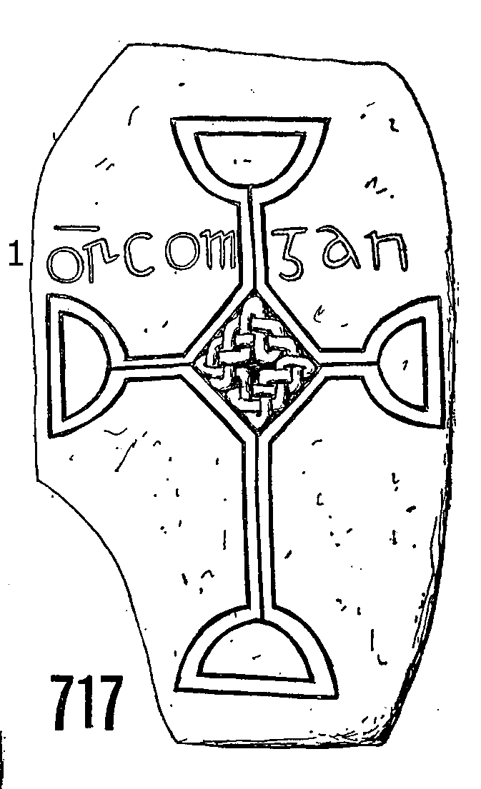 Clonmacnois Runestone 717 - Barony of Garrycastle, County of Offally, Ireland