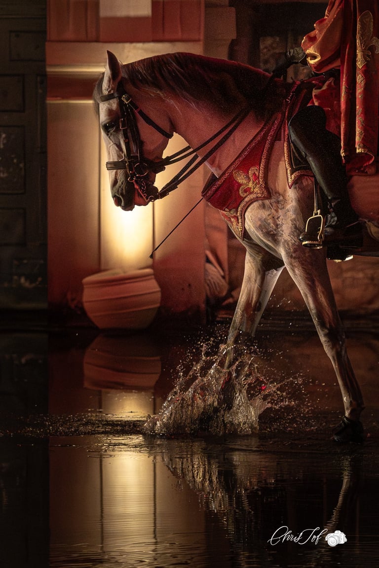 photo photographe 66 portraits shooting