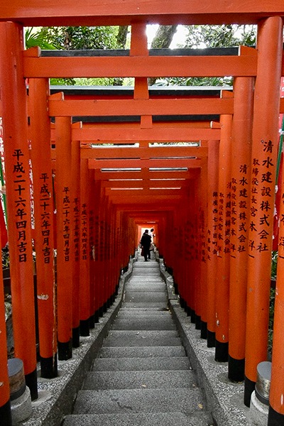tunnel de torii du sanctuaire shinto Hie Shrine