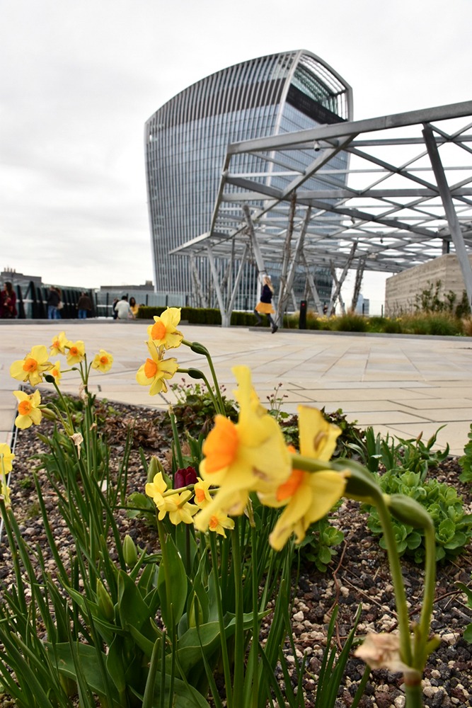 Le Sky Garden vu depuis The Garden at 120
