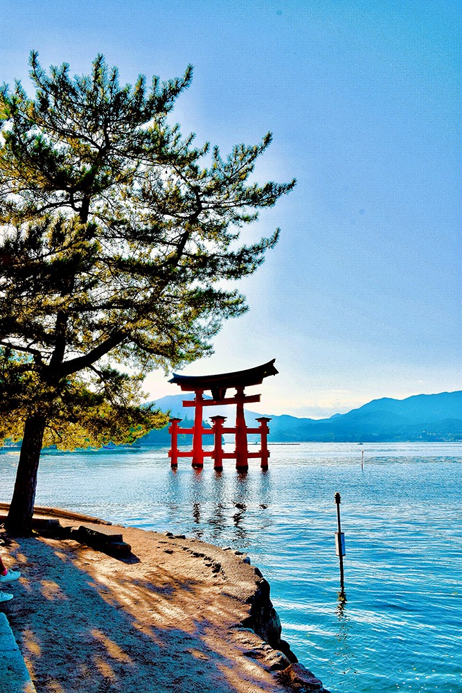 Torii flottant de l'ile sacrée de Miyajima