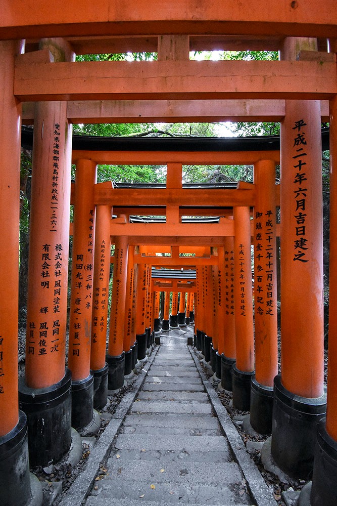 Tunnel de portes torii