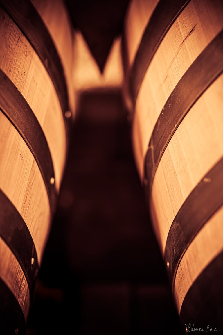 Alignement de barriques en bois, perspective majestueuse dans la pénombre.