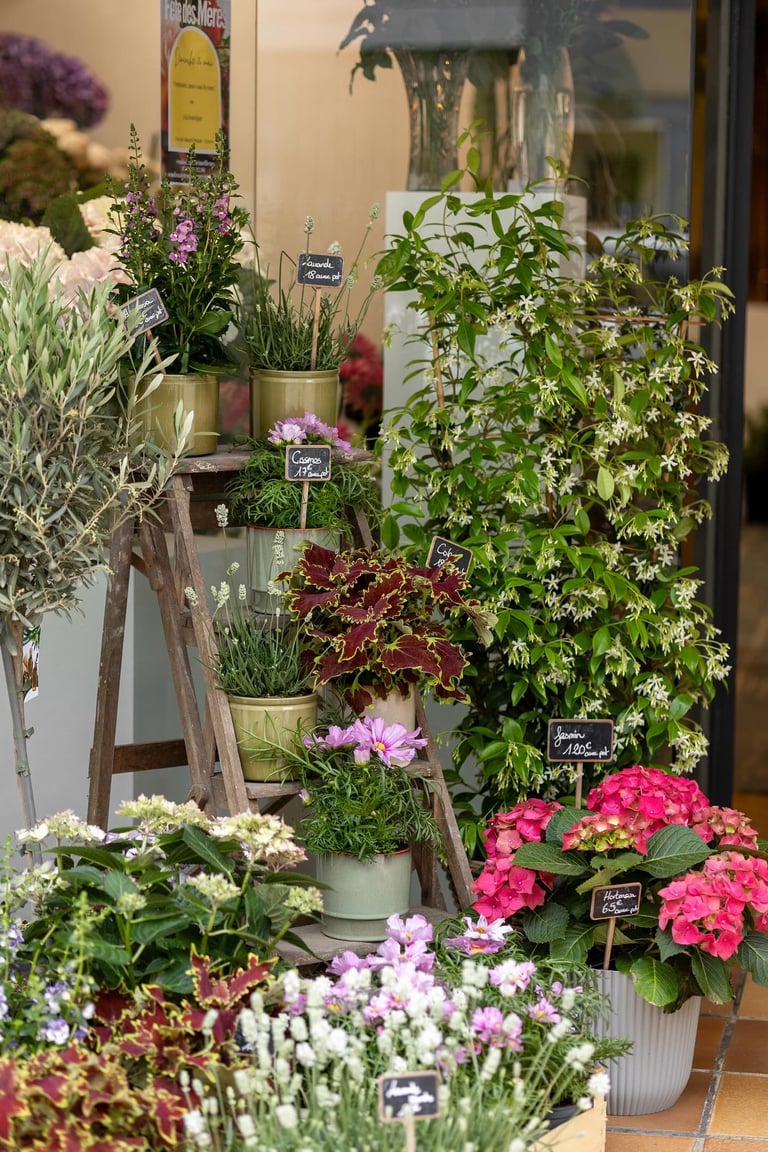 plante fleuries et verte d'extérieur a l'avant d'une boutique de fleurs à troyes