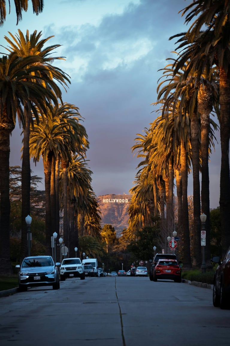palm-trees-street-hollywood-sign-los-angeles
