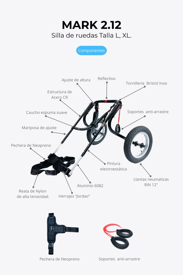 Perro con silla de ruedas ortopédica para perros, NUCLEUMPET Orthopedics en Bogotá Colombia.