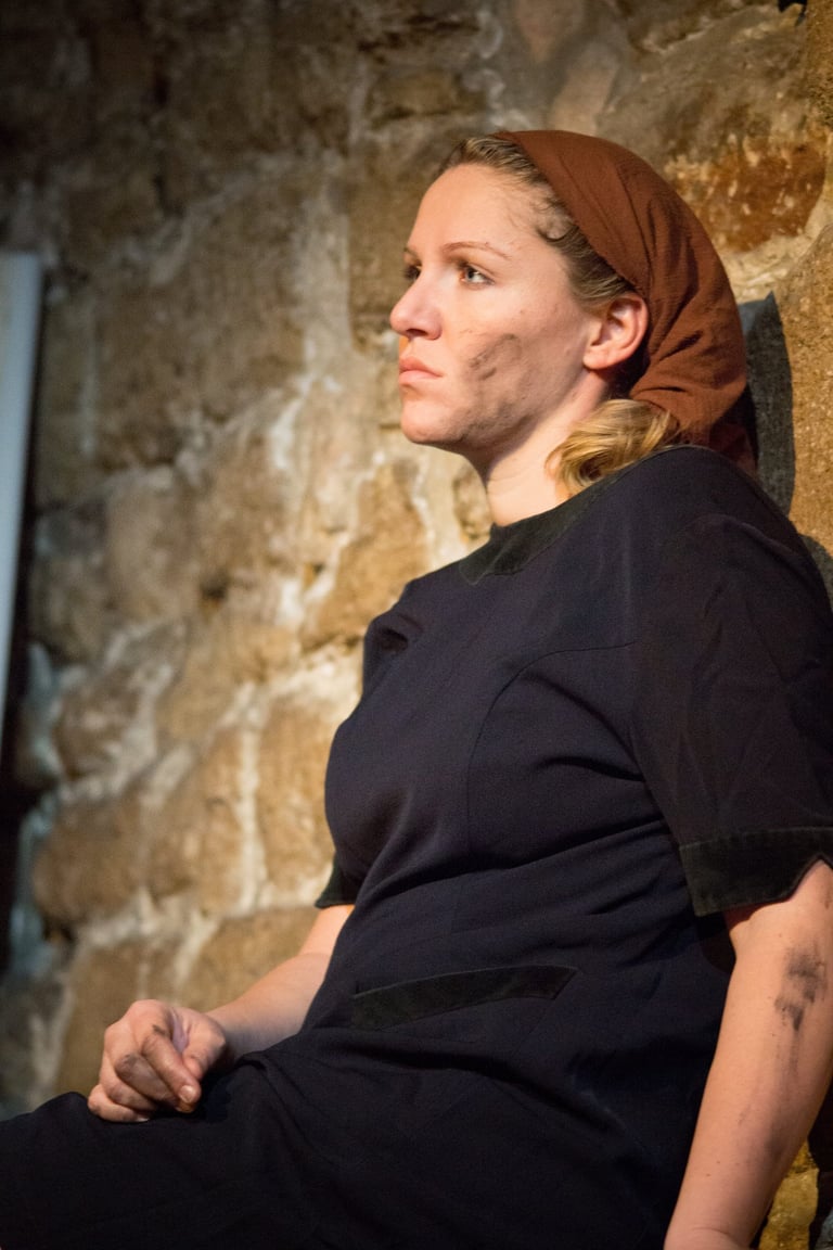 Marion Carcelès, Grand'peur et misère du IIIème Reich - Referendum
