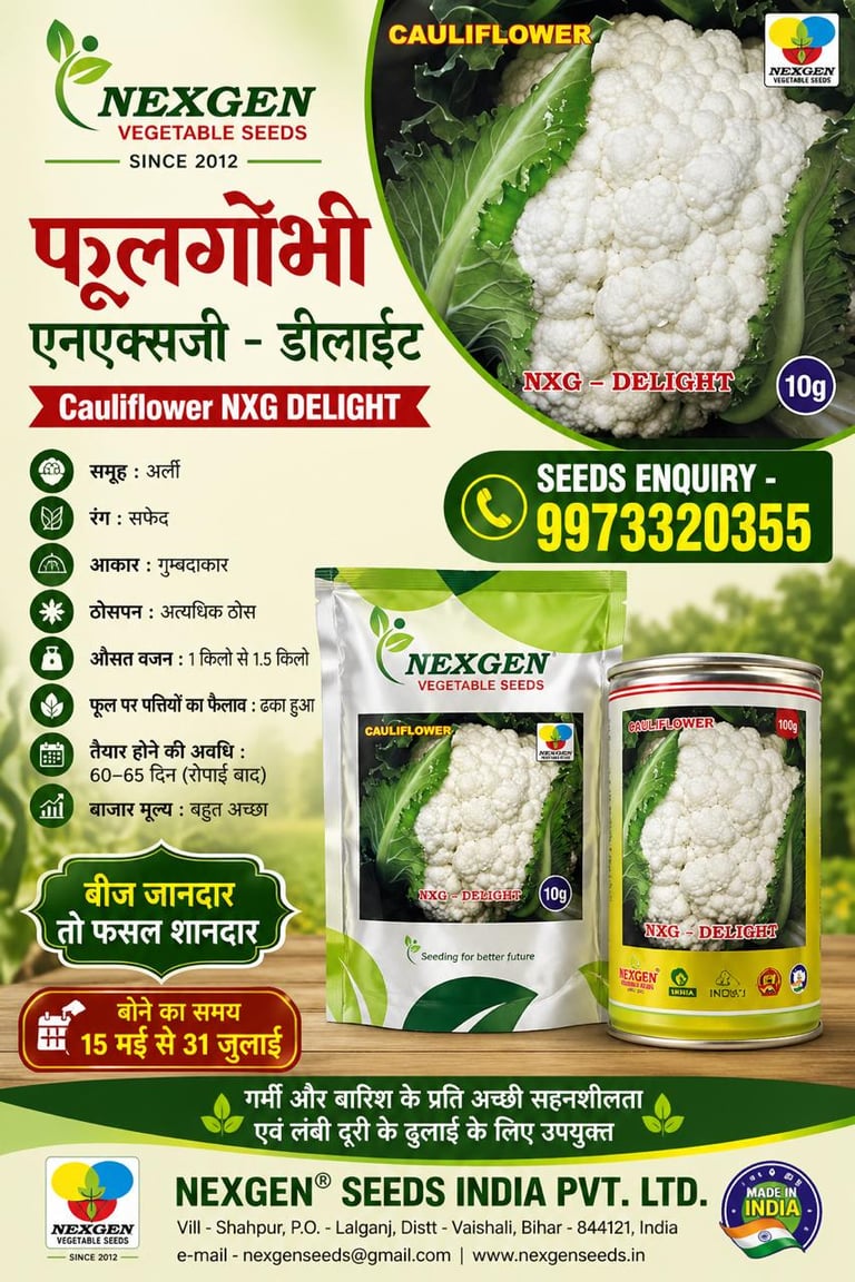 Nexgen NXG Delight Cauliflower vegetable seeds packaging with product details and contact information.