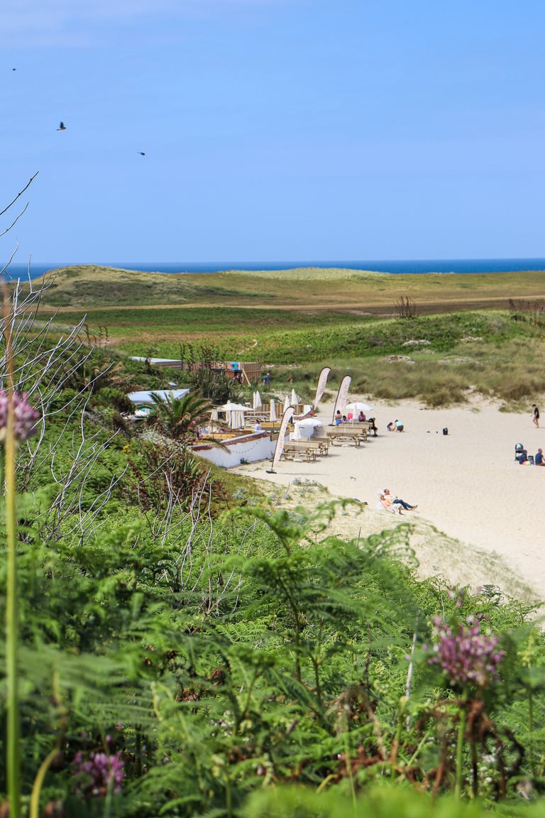 Shell Beach Herm