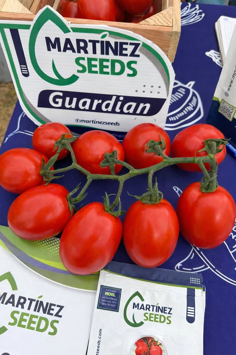 Guardian de Martinez Seeds