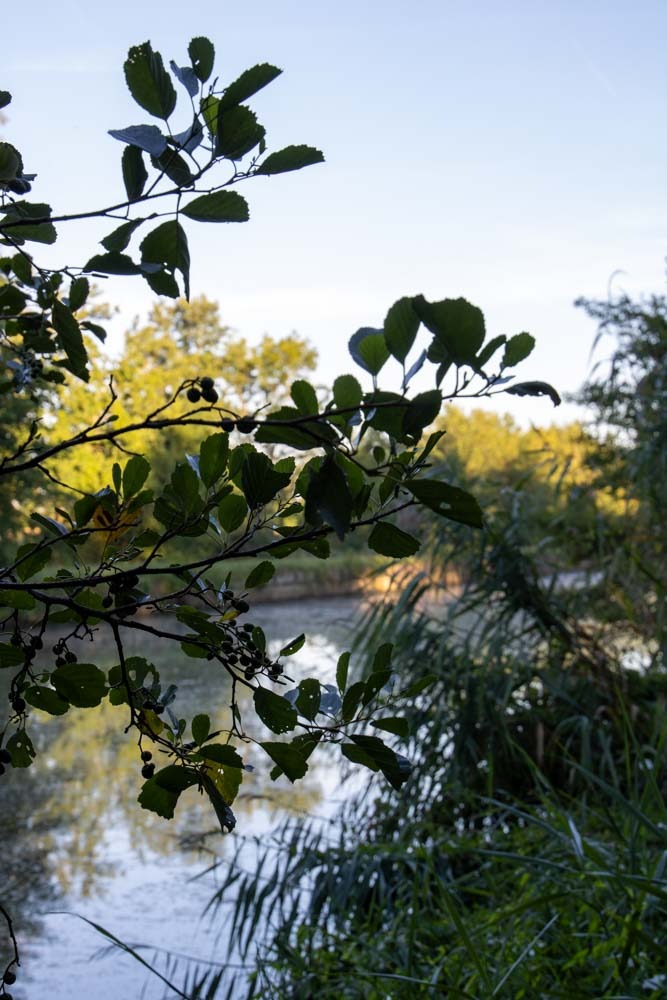 Behind a Bridge - When Photographs Speak by Ormulyce