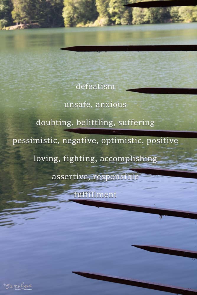 Choice is Yours - When Photographs Speak by Ormulyce