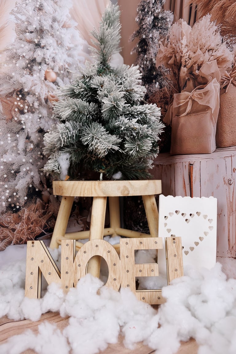 Photo noel avec sapin blanc