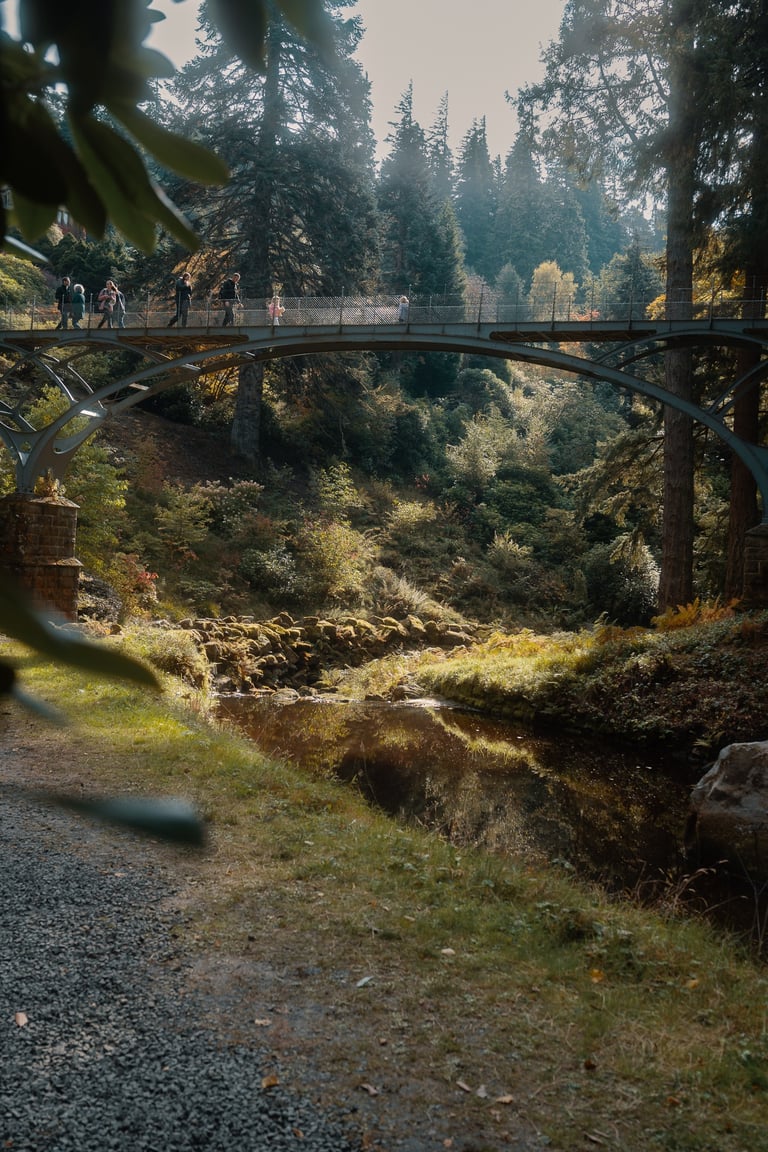 In a forest there is a river and a bridge high above it with people walking across.