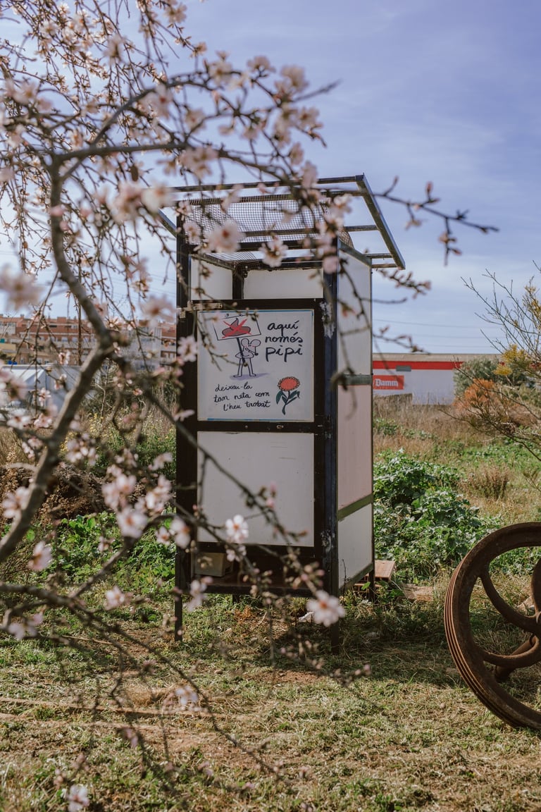 Lavabo ecològic, vàter sec, només per al pipi.