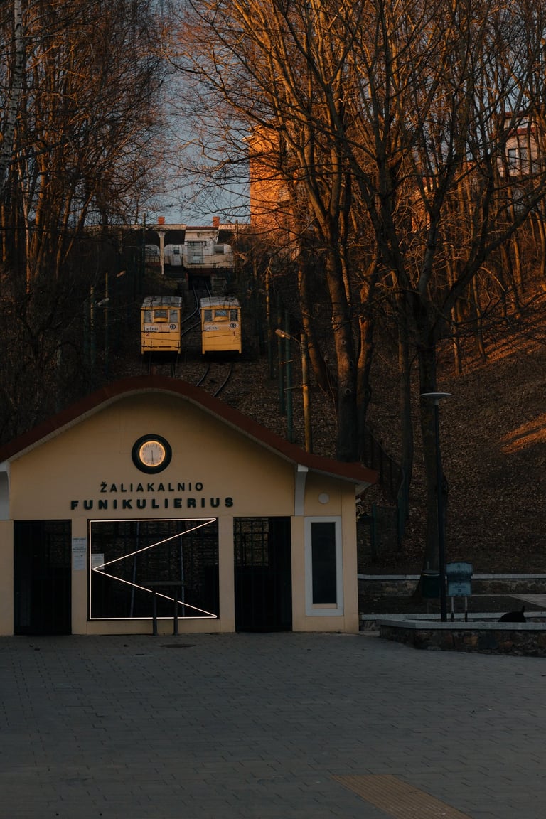 Kaip Aistis kultūrą statė Giedrė Kaziliūnaitė Viktorijos Šaulytės nuotrauka