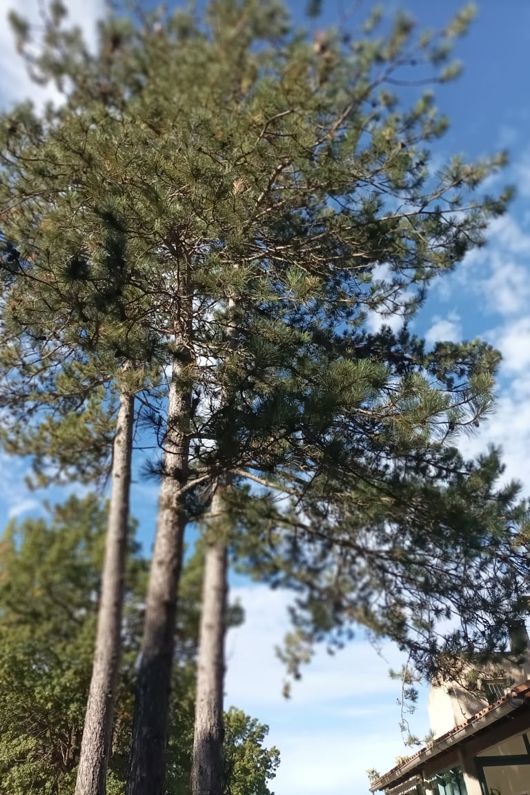 Are you up there?