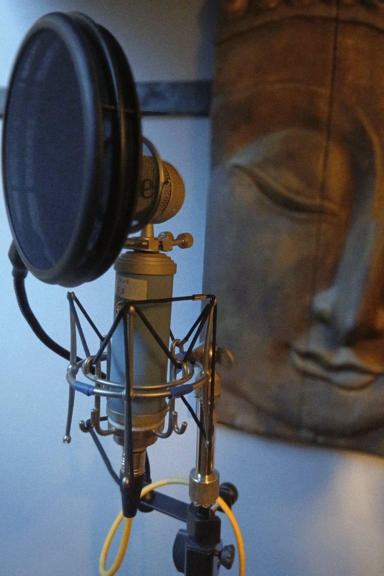 micro bluebird du studio rosebirdstudio