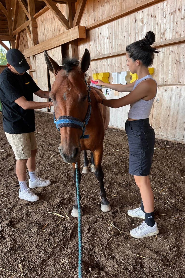 prise en charge collective - de couple