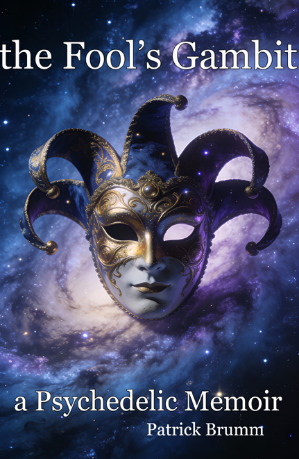 Cover Art for The Fool's Gambit book