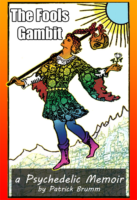 The Fool's Gambit book cover art
