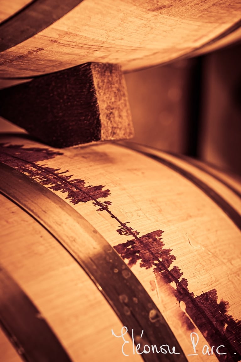Secret des Dieux série Que le Vin Fût ref QV-02 ©Eléonore Parc