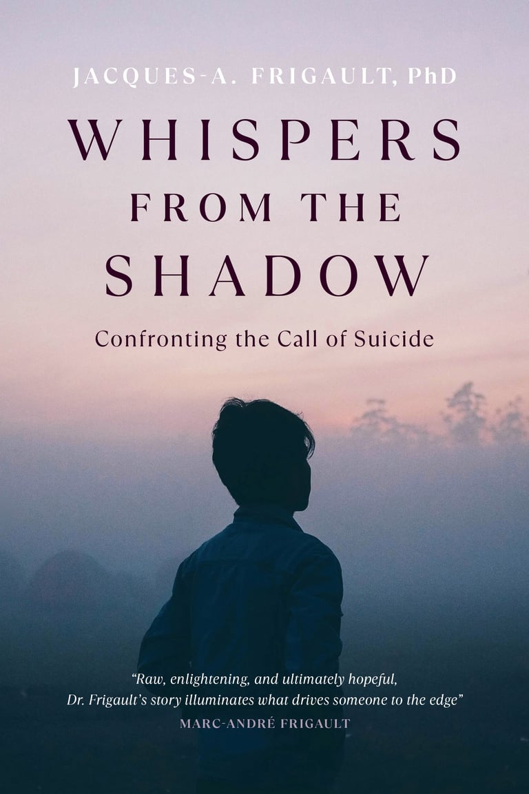 book cover with a person looking to the distance at dusk