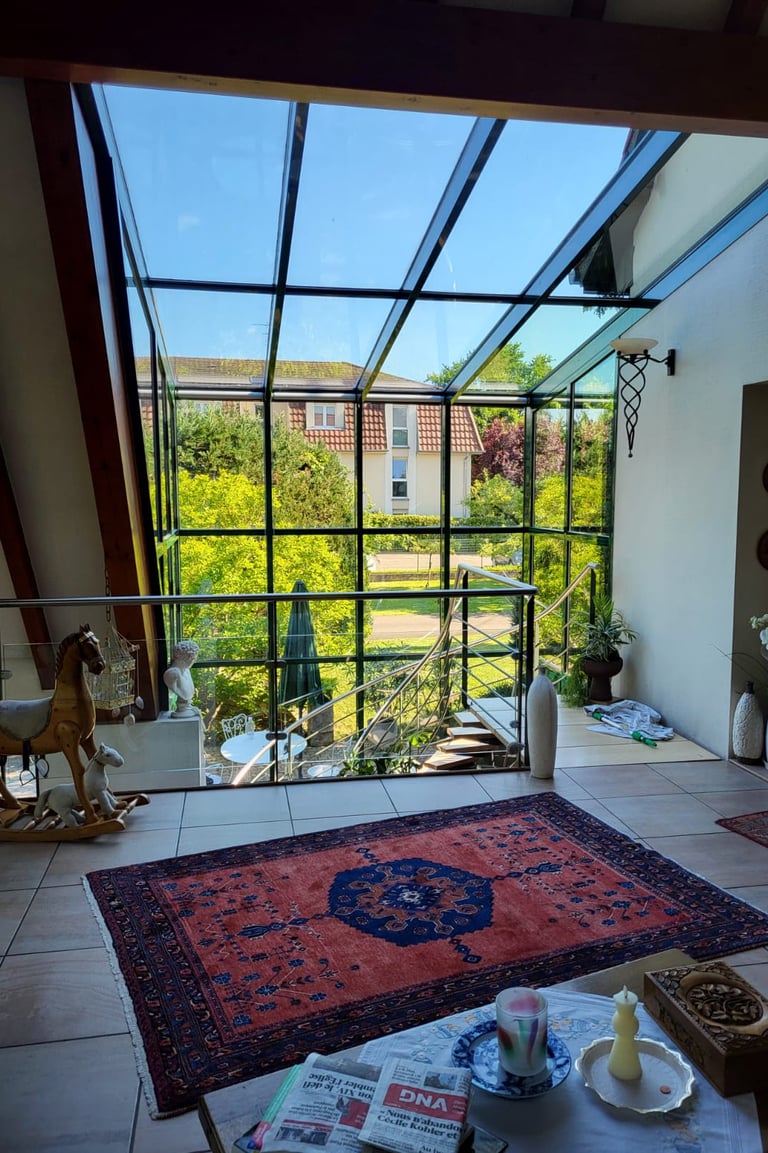 DV NET, votre expert en nettoyage de vitres et services professionnels à Molsheim